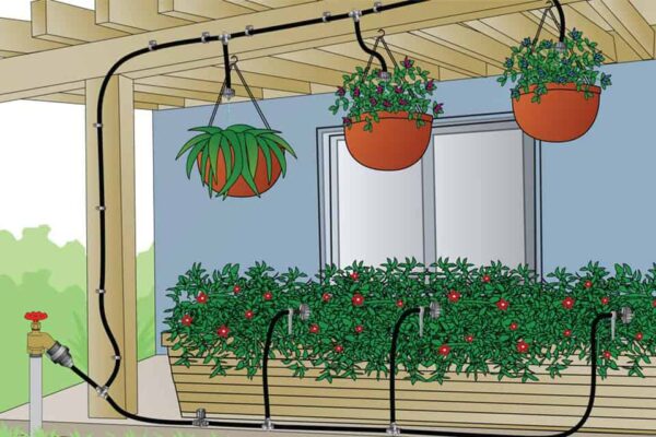 Hệ thống tưới cây tự động