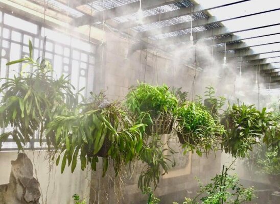 Hệ thống tưới nước thông minh sẽ giúp bạn giải quyết vấn đề tưới nước hàng ngày cho cây